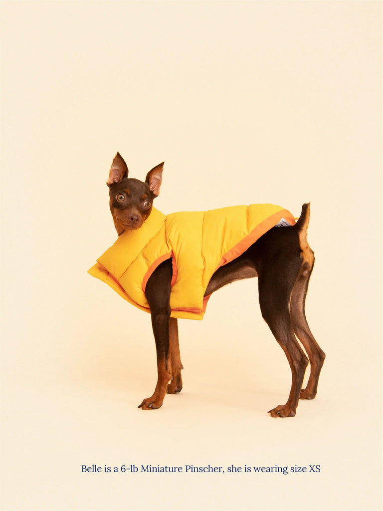 ONLINE ONLY: Little Beast - Super Duper Reversible Parka - Orange + Tangerine (SIZE XL AVAILABLE)