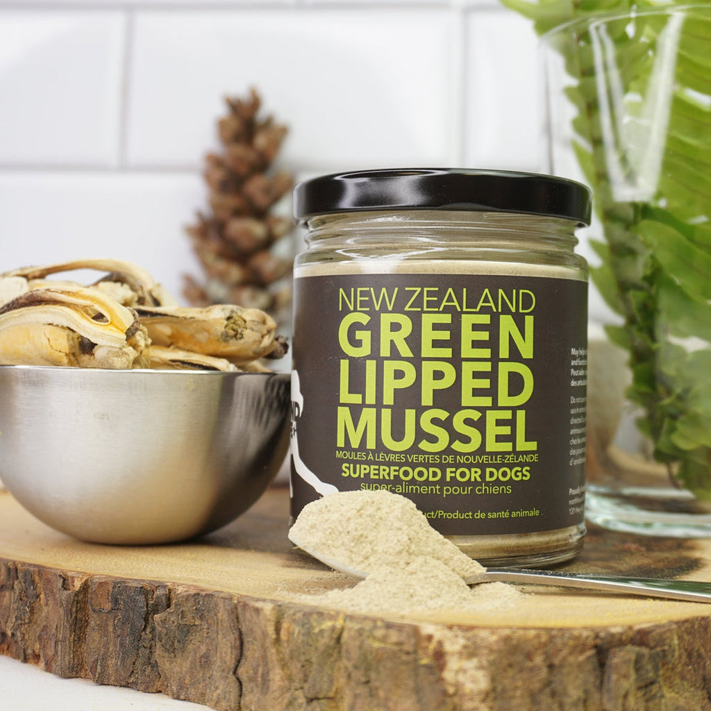 North Hound Life - New Zealand Green Lipped Mussel Powder: Superfood For Dogs
